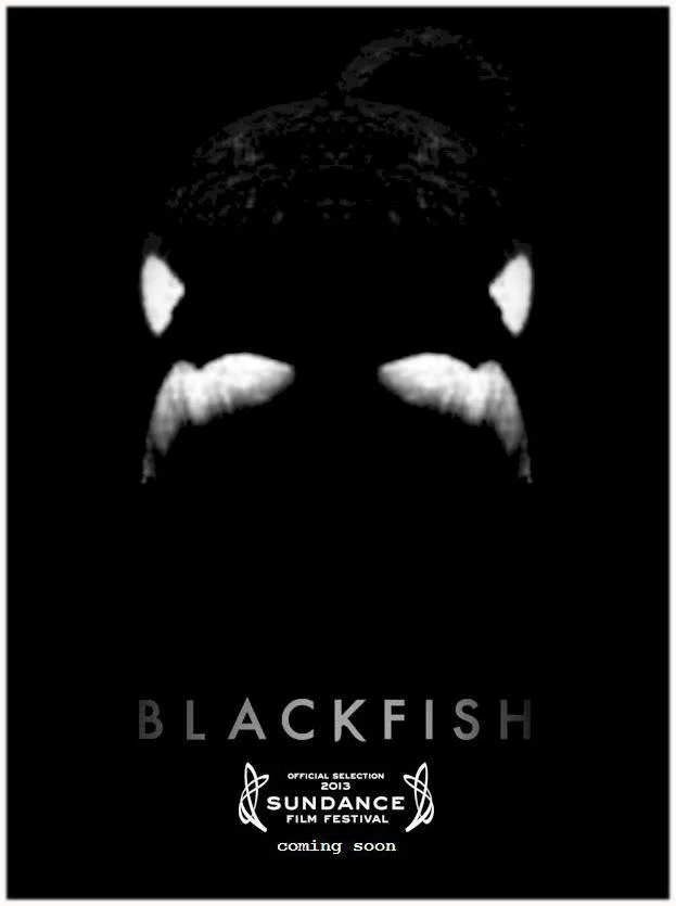 Blackfish (2013) film poster