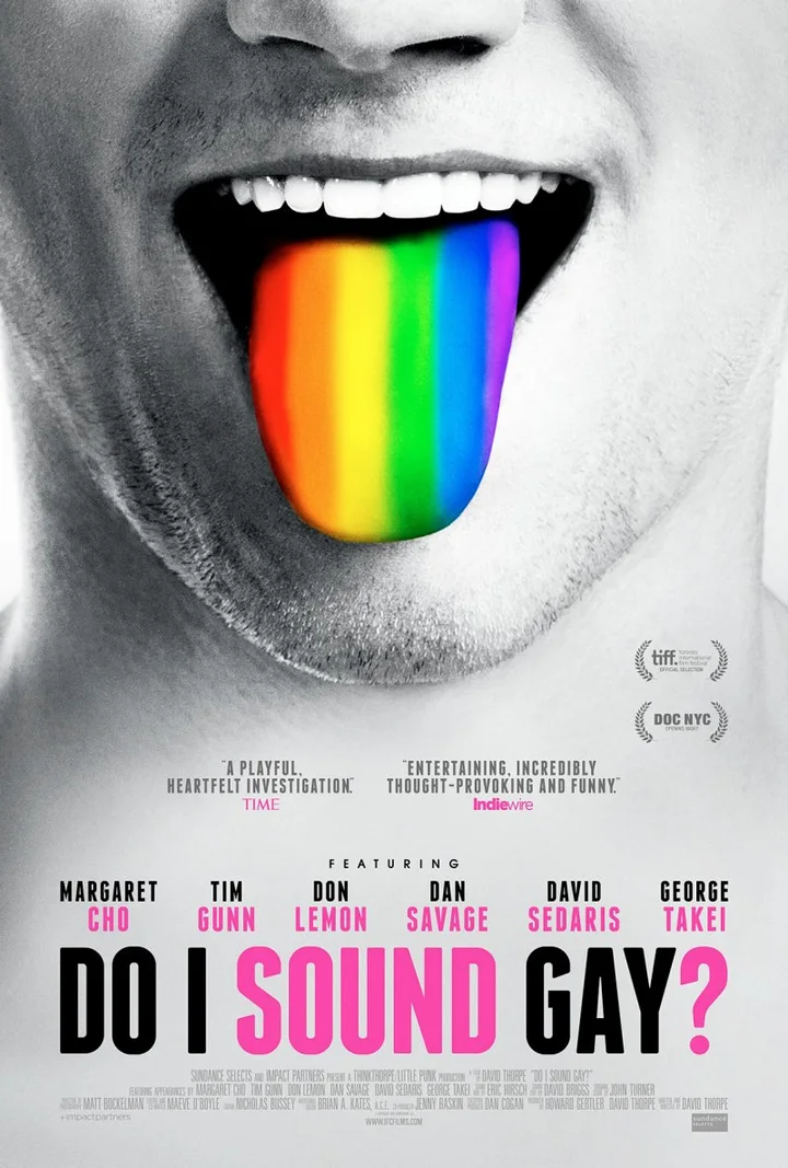 Do I Sound Gay? (2014) film poster